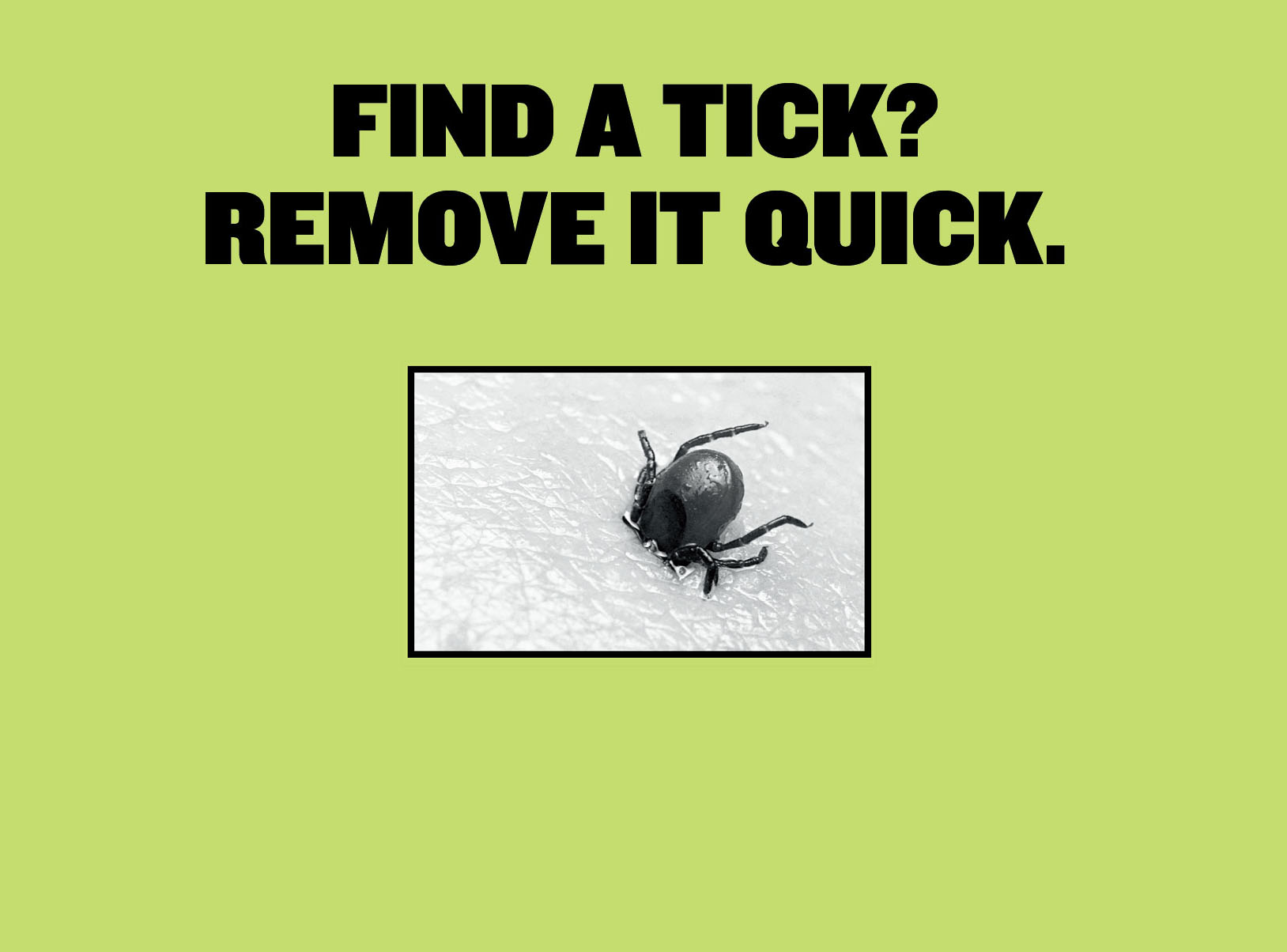 Lyme Disease Banner