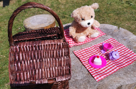 Teddy Bears Picnic