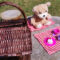Teddy Bears Picnic